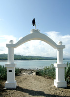 Cemetary entrance with black vulture