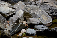 Ephemeral art on rocks