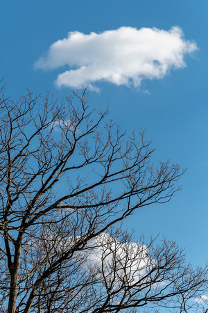 Winter cloudscape at Little Hogback Overlook, Shenandoah NP