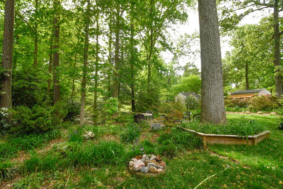 SW corner of the backyard