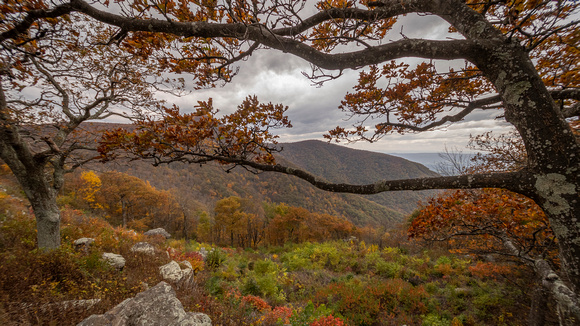 Fall cold front clouds from Crescent Rock Overlook, Shenandoah NP
