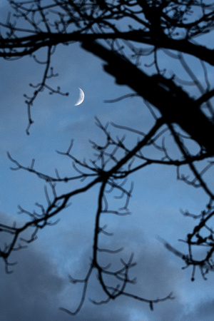 Waxing moon, Tuckahoe Creek - Henrico