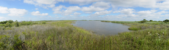 Back Bay marsh