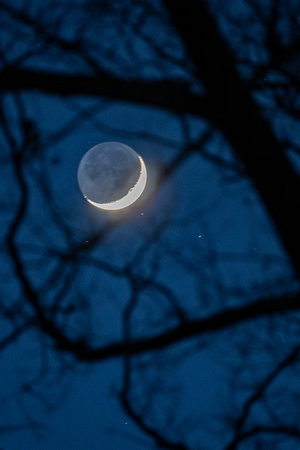 Winter crescent moon, home