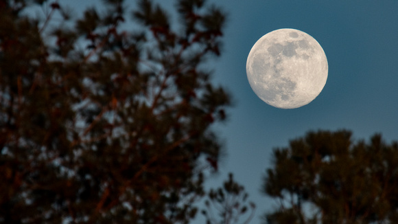January Full Moon at Tuckahoe Creek, Henrico