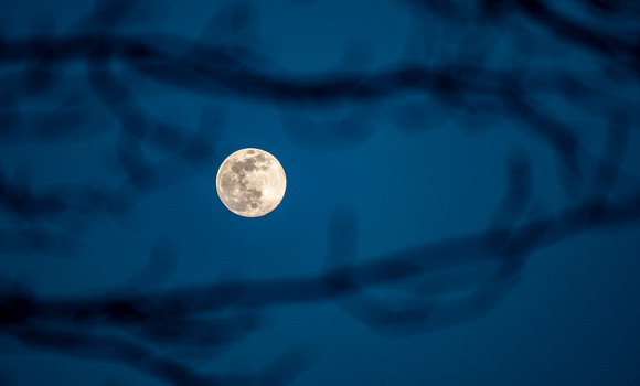 Winter full moon from Moorman's Ridge Overlook, Shenandoah NP