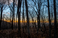 Fall forest after sunset on Bearfence Mountain, Shenandoah NP
