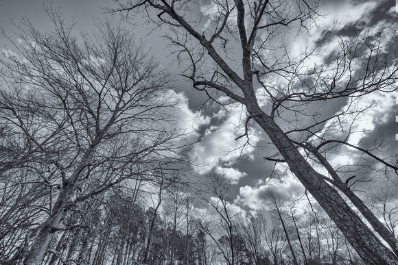 Winter sky at Tuckahoe Creek Park, Henrico