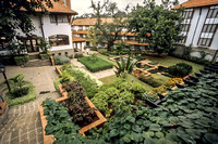 Norfolk Hotel gardens