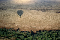 Kenya: Ballooning the Serengeti Plains