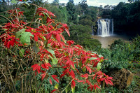 Chania Falls