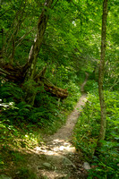 Up the Appalachian Trail