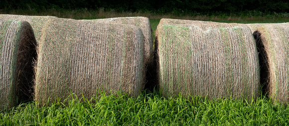 Baled hay