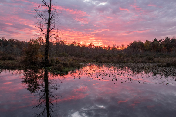 Chilly Fall sunset at Tuckahoe Creek, Henrico