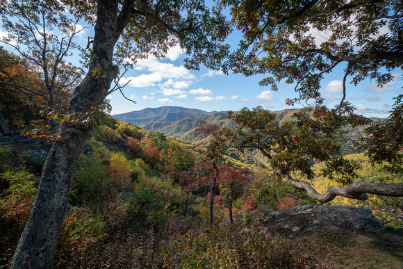 Fall along the Blue Ridge Parkway
