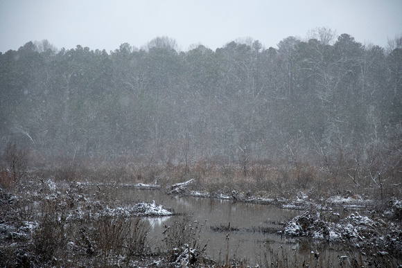 Snowing at Tuckahoe Creek, Henrico