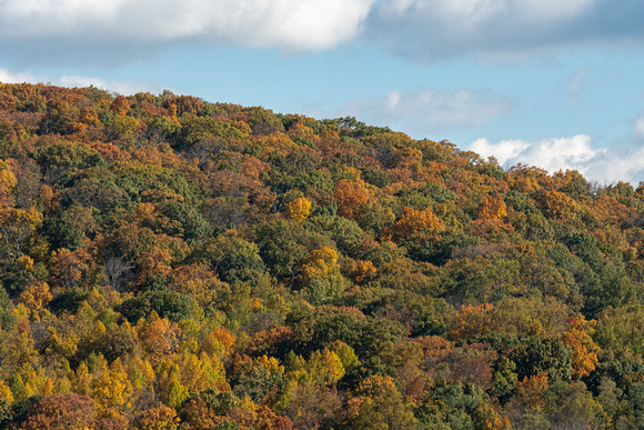 Fall foliage hillscape at Beagle Gap, Shenandoah National Park