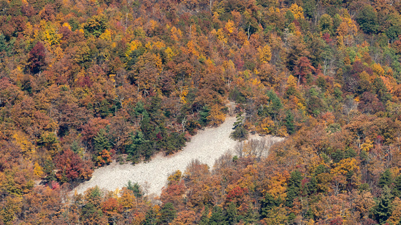 Fall foliage and quartzite talus slope