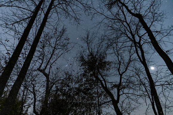 Lunar eclipse and constellations over Tuckahoe Creek, Henrico