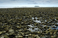 Rocky shoreline at low tide; Isla Cabuya in background