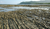 Rocky shoreline at low tide; Cabo Blanco Reserve in background