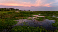 La Laguna (The marsh) before sunrise