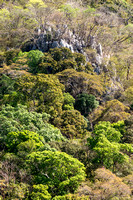Karst limestone hill with Tropical Dry Forest