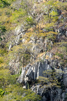 Karst limestone hills with Tropical Dry Forest