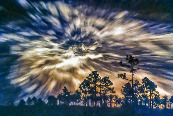 Pineland Apocalypse