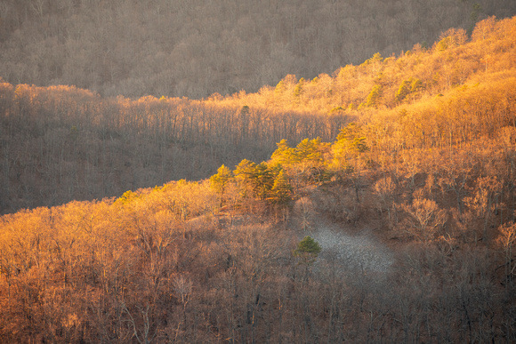 Late afternoon hillsides in winter from Horsehead Mountain Overlook, Shenandoah National Park
