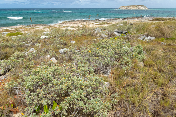 Gibbs Cay shoreline