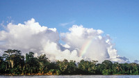 Rainforest rainbow