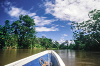 The Ecuadorian Amazon
