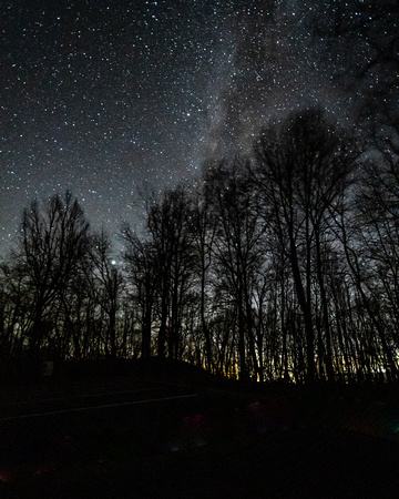November Milky Way through trees at Bearfence Mountain, Shenandoah NP