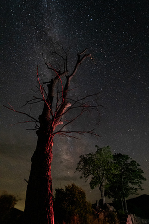June Milky Way from Hazeltop Ridge Overlook, Shenandoah National Park